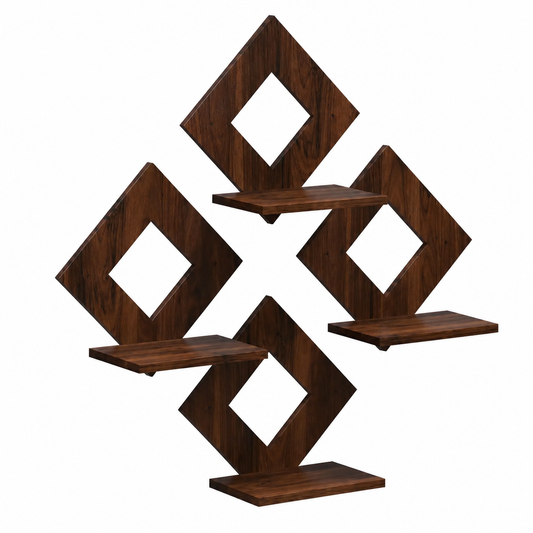 LUXORA™ FrameShelf- Shopshpare