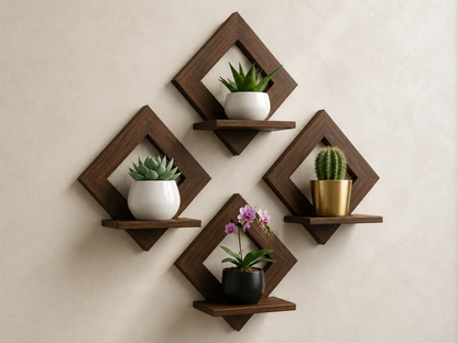 LUXORA™ FrameShelf- Shopshpare