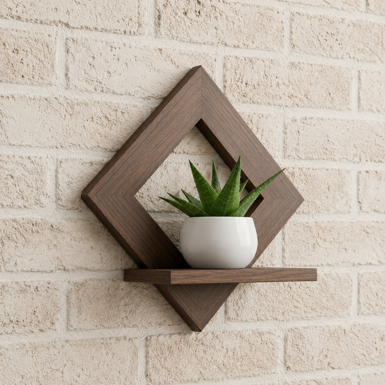 LUXORA™ FrameShelf- Shopshpare