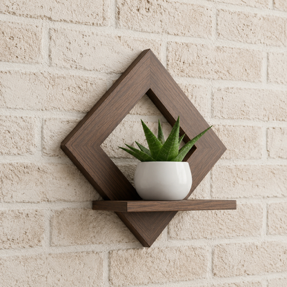 LUXORA™ FrameShelf- Shopshpare