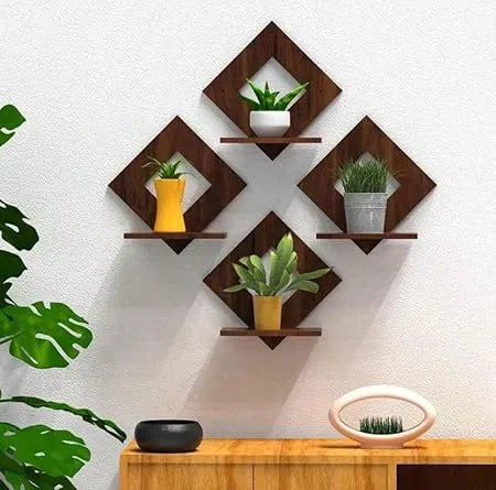 LUXORA™ FrameShelf- Shopshpare